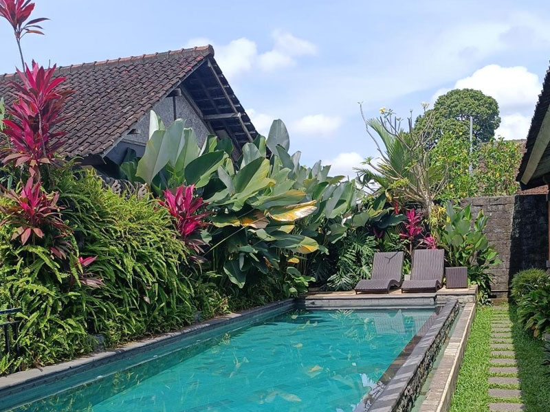 Swimming pool at Bale Bali Inn Ubud